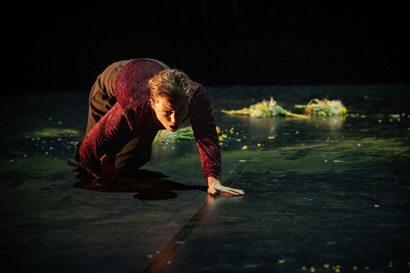 Útok psím lejnem. Foto Joachim Dette.